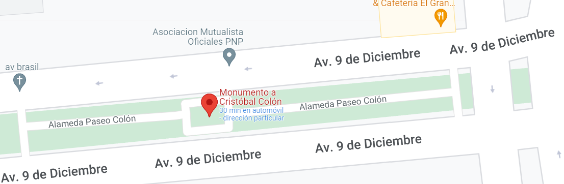 googleMaps